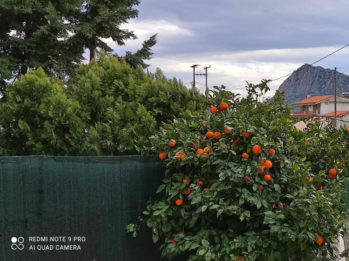 Nafplio Breeze Άνετη Διώροφη Κατοικία Από 4 Έως 9 Επισκέπτες 外观 照片